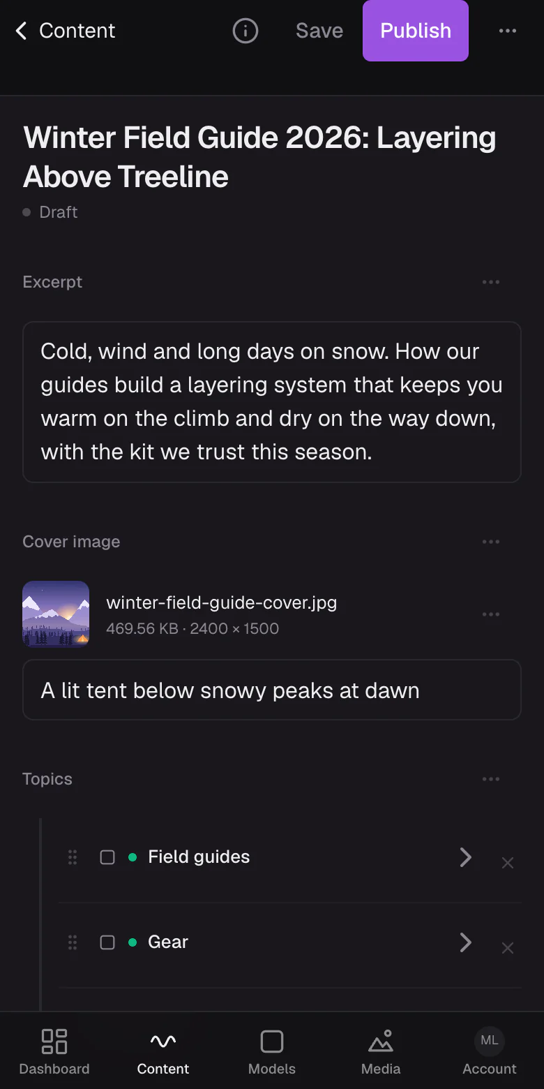The editor on a phone, with Save and Publish at the top and the entry's fields below.